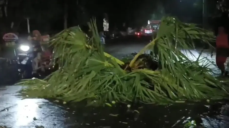 Woman killed, valuables damaged in several districts as severe Nor’wester hits Odisha