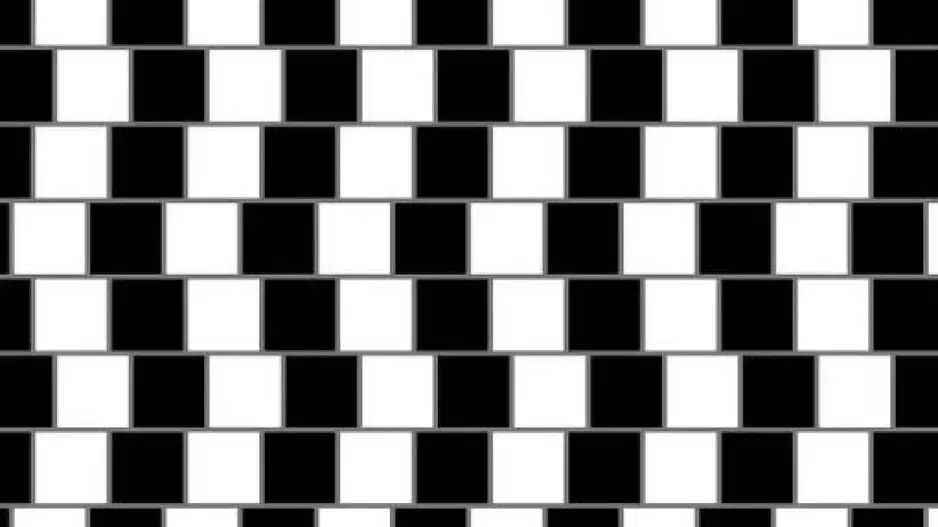 Optical illusion challenge: Only sharp eyes can find hidden skateboard