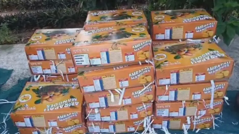 After Italy and London, Odisha’s Amrapali mangoes find new home in Dubai