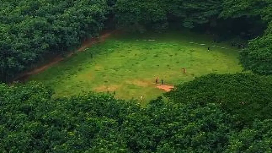 Watch: Kerala’s Jungle Cricket Ground Is Internet’s new obsession