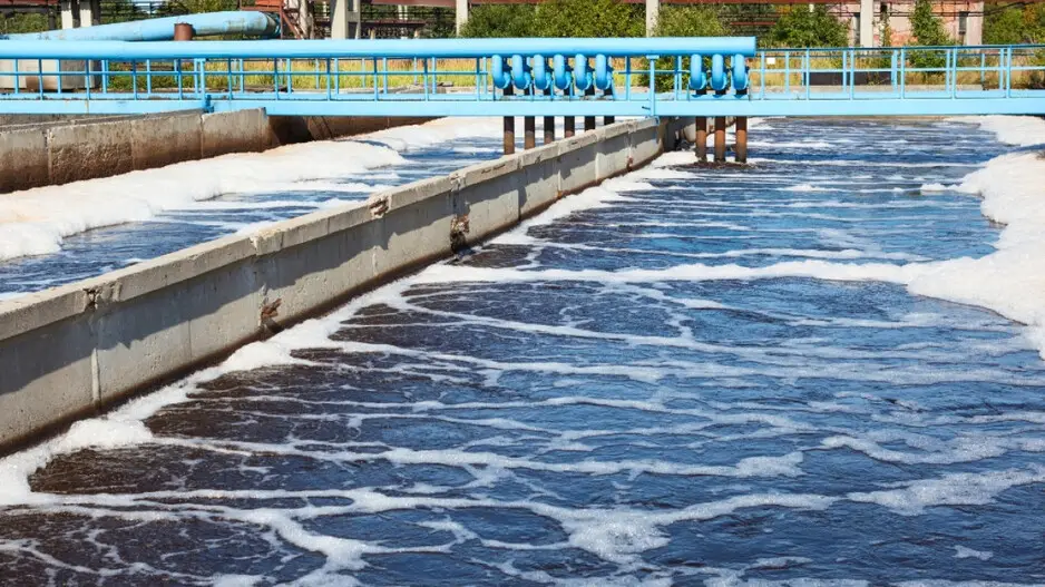 IIT-Guwahati develops sustainable solution using mushroom waste for wastewater treatment