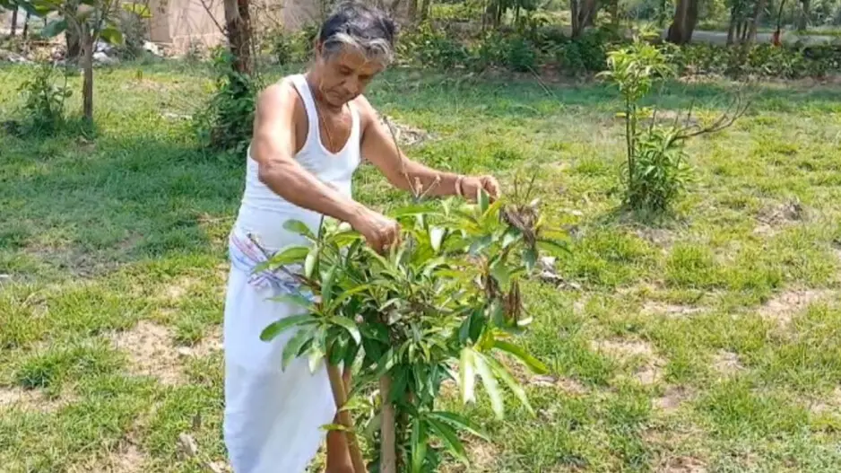From chalk to saplings: Retired Odisha teacher turns eco-warrior, begins selfless green mission