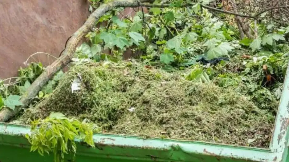 BMC proposes biogas plant at Unit-I Market in Bhubaneswar for sustainable waste management
