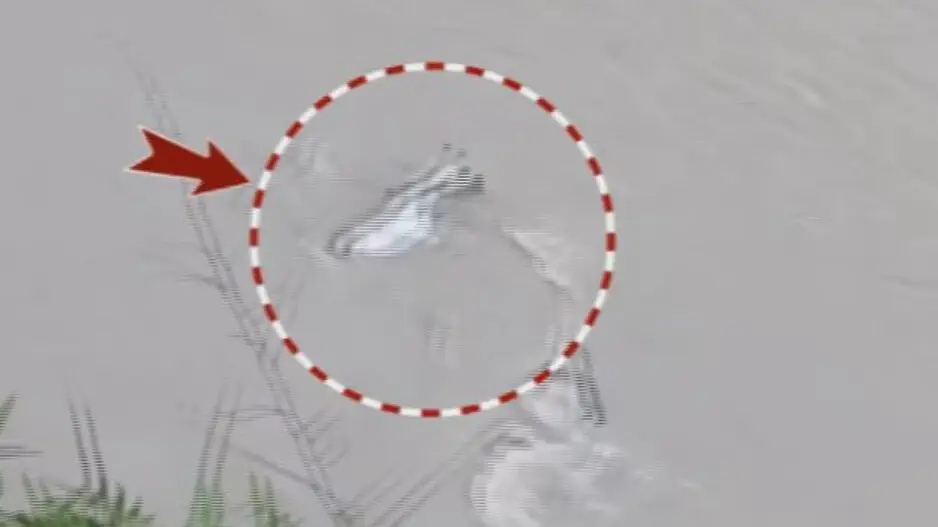 1 dead, 8 missing as tourist vehicle plunges into Teesta river in Sikkim; BJP leader among victims from Odisha!