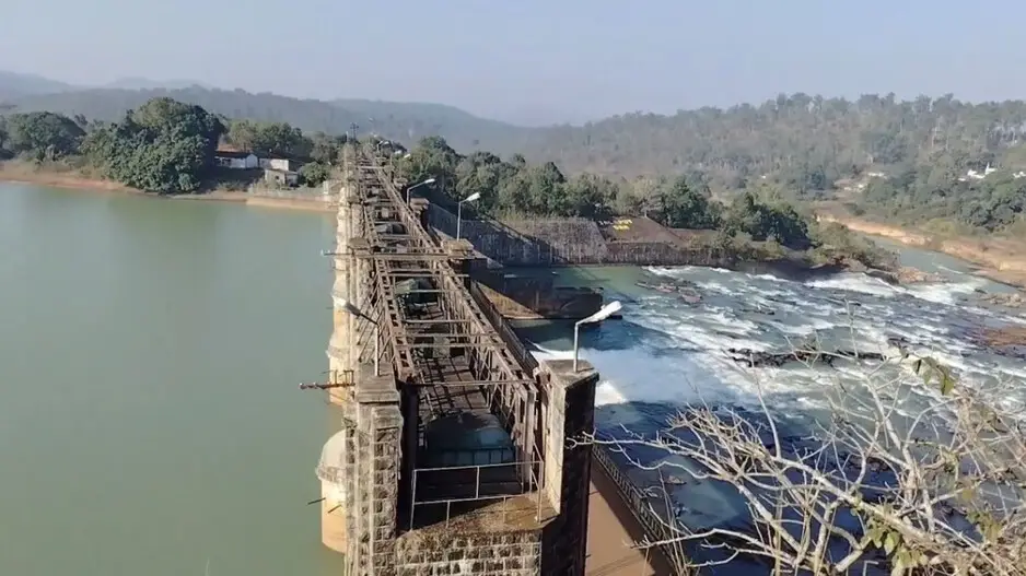 Four including young woman killed in separate drowning incidents in Odisha