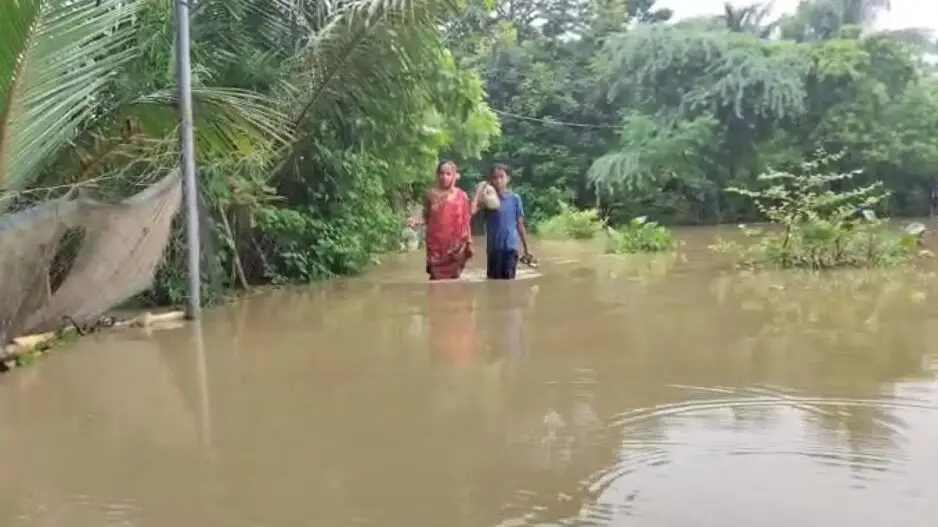Heavy rain likely in Odisha till July 5: IMD issues orange and yellow alerts across several districts