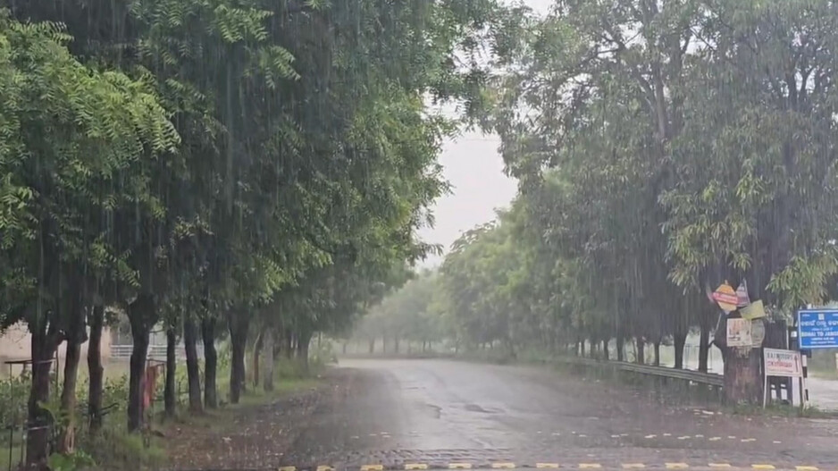 Odisha braces for fresh low pressure; IMD issues multiple warnings for heavy rainfall in several districts