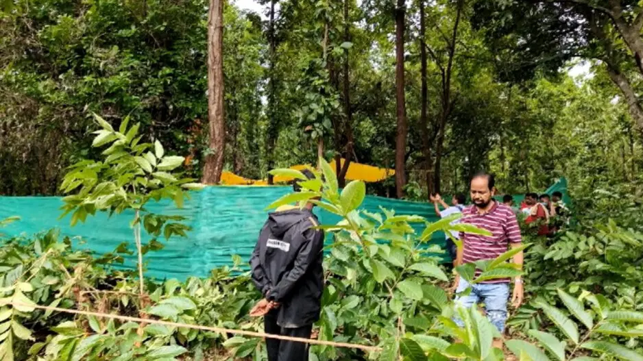 Elephant death: Forester & Forest guard transferred, departmental inquiry launched