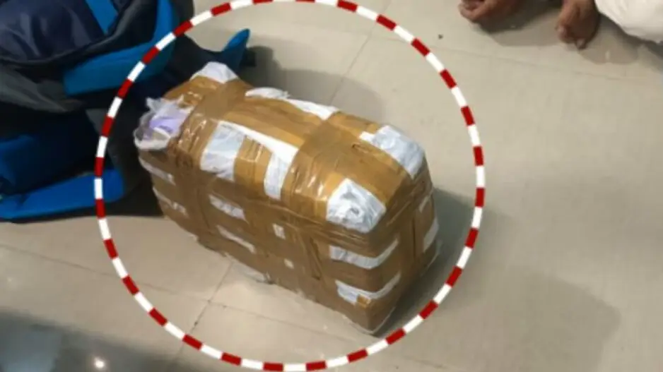 Cash worth over Rs 12 lakh seized from vehicle in Odisha, four arrested