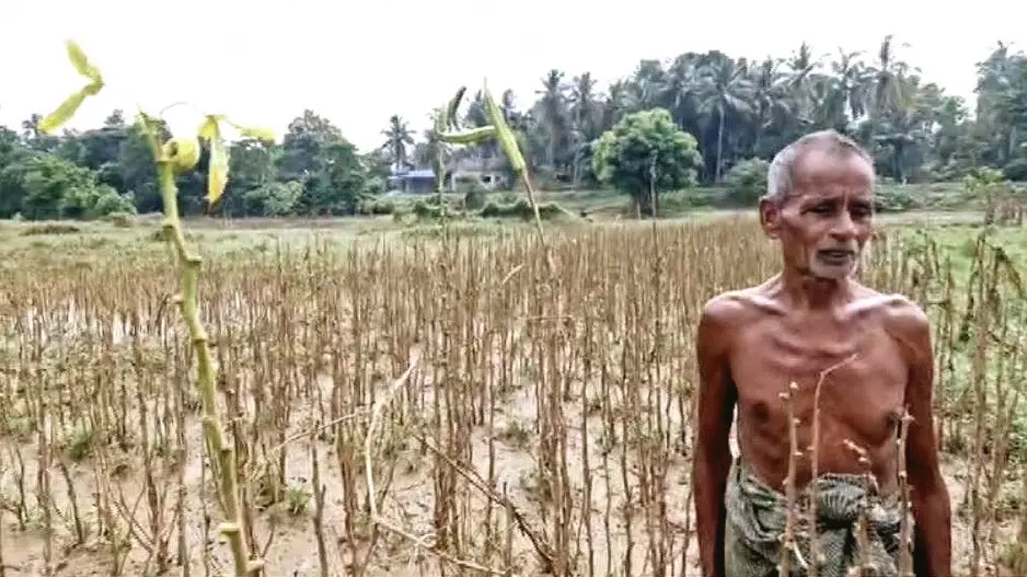 Water level drops, but crisis deepens for farmers as flood destroys Balasore farmlands
