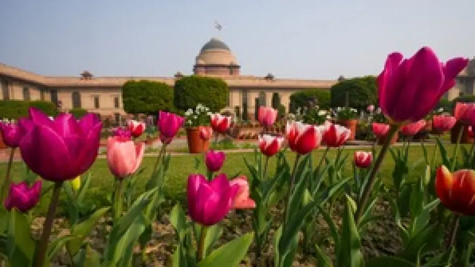 Amrit Udyan to open for public from August 16 to September 14: Rashtrapati Bhavan