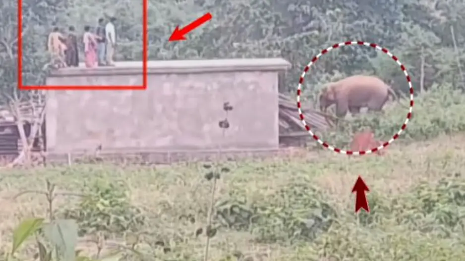 Terrified by tusker, villagers seek safety on rooftops in Odisha’s G. Udayagiri