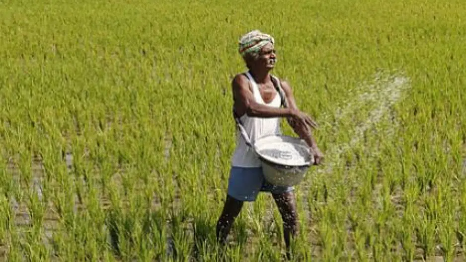 Odisha farmers can register themselves with 'self-declaration' to sell paddy to govt: Min