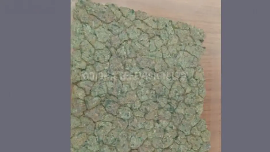 Marijuana worth Rs 4 crore seized at Bhubaneswar Airport, couple held