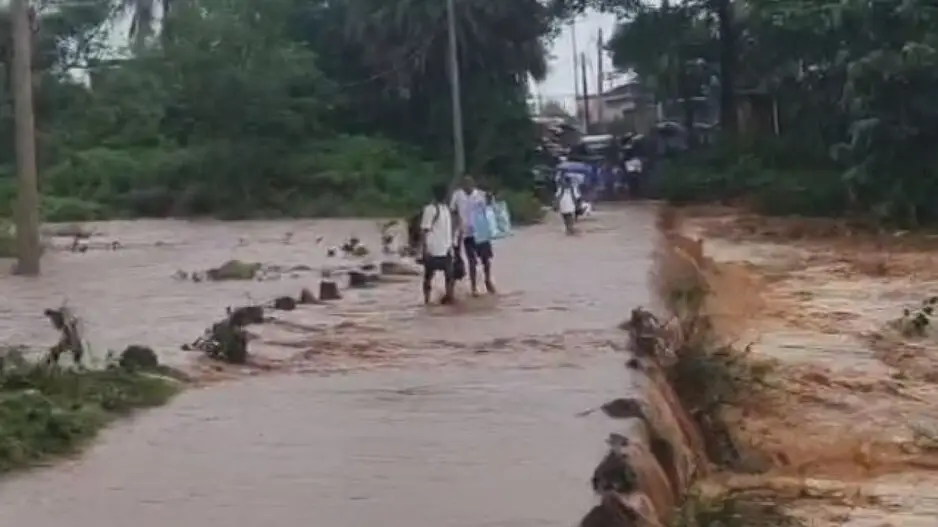 No flood situation in Odisha rivers: Water Resources Dept