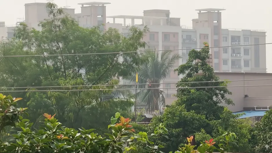 Who are major holding tax defaulters in Bhubaneswar? Why is there no data?
