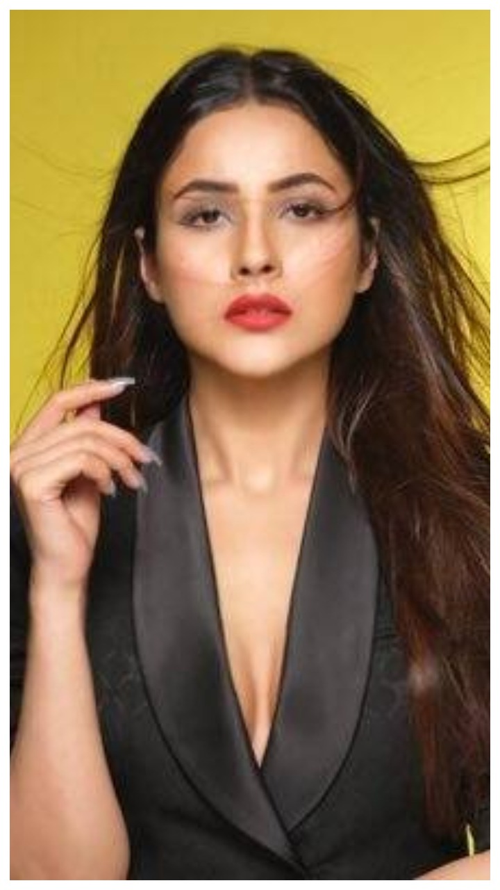 एक्ट्रेस से प्रोड्यूसर बनीं Shehnaaz Gill, बोलीं – “शादी मजबूरी नहीं है”